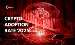 Crypto adoption rate 2025