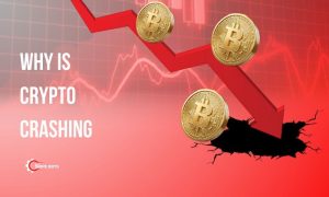 Why Is Crypto Crashing