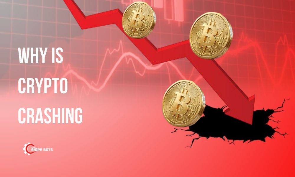 Why Is Crypto Crashing