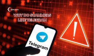 Why do scammers like Telegram